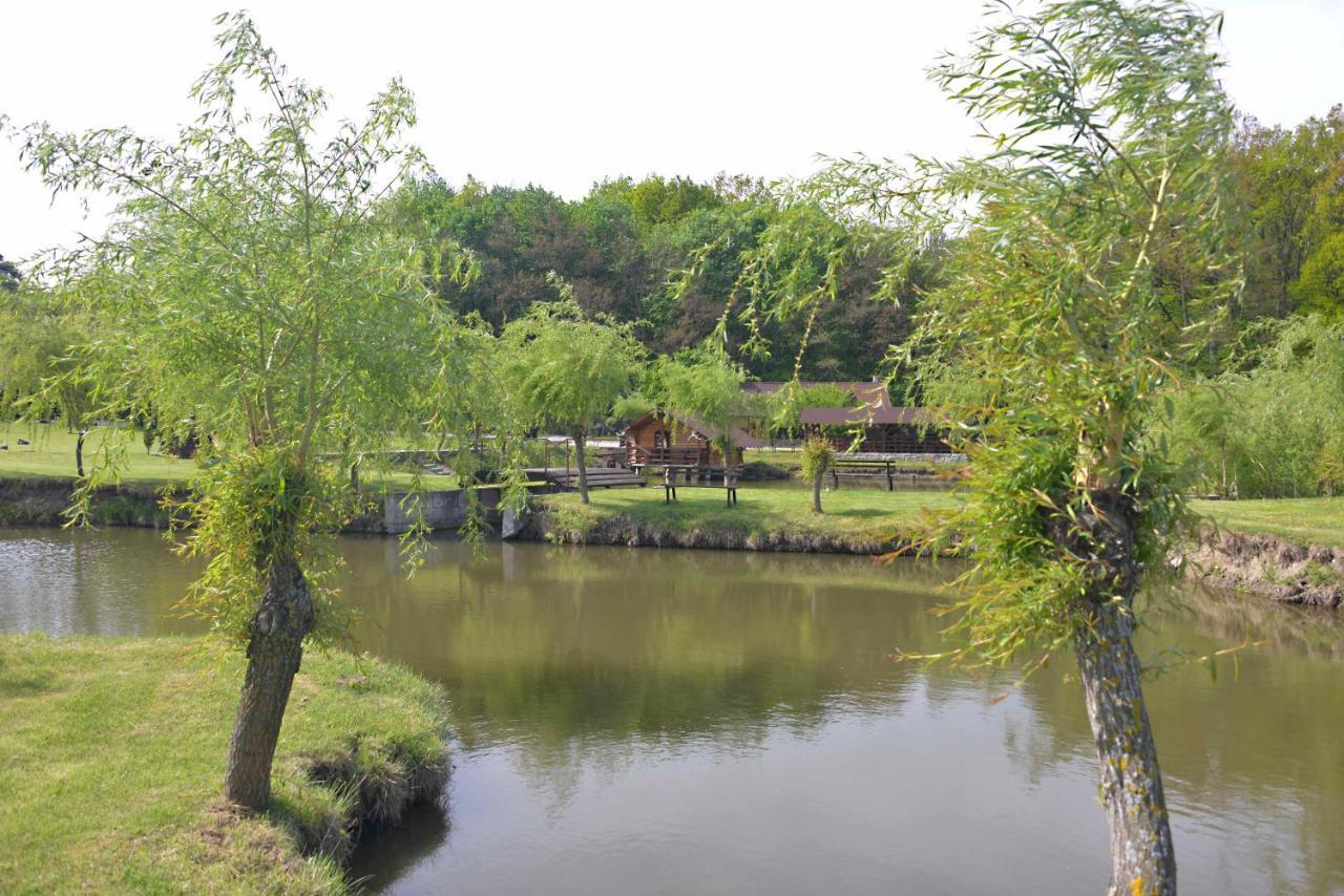Pensiunea Paradisul Verde Oglinzi Extérieur photo
