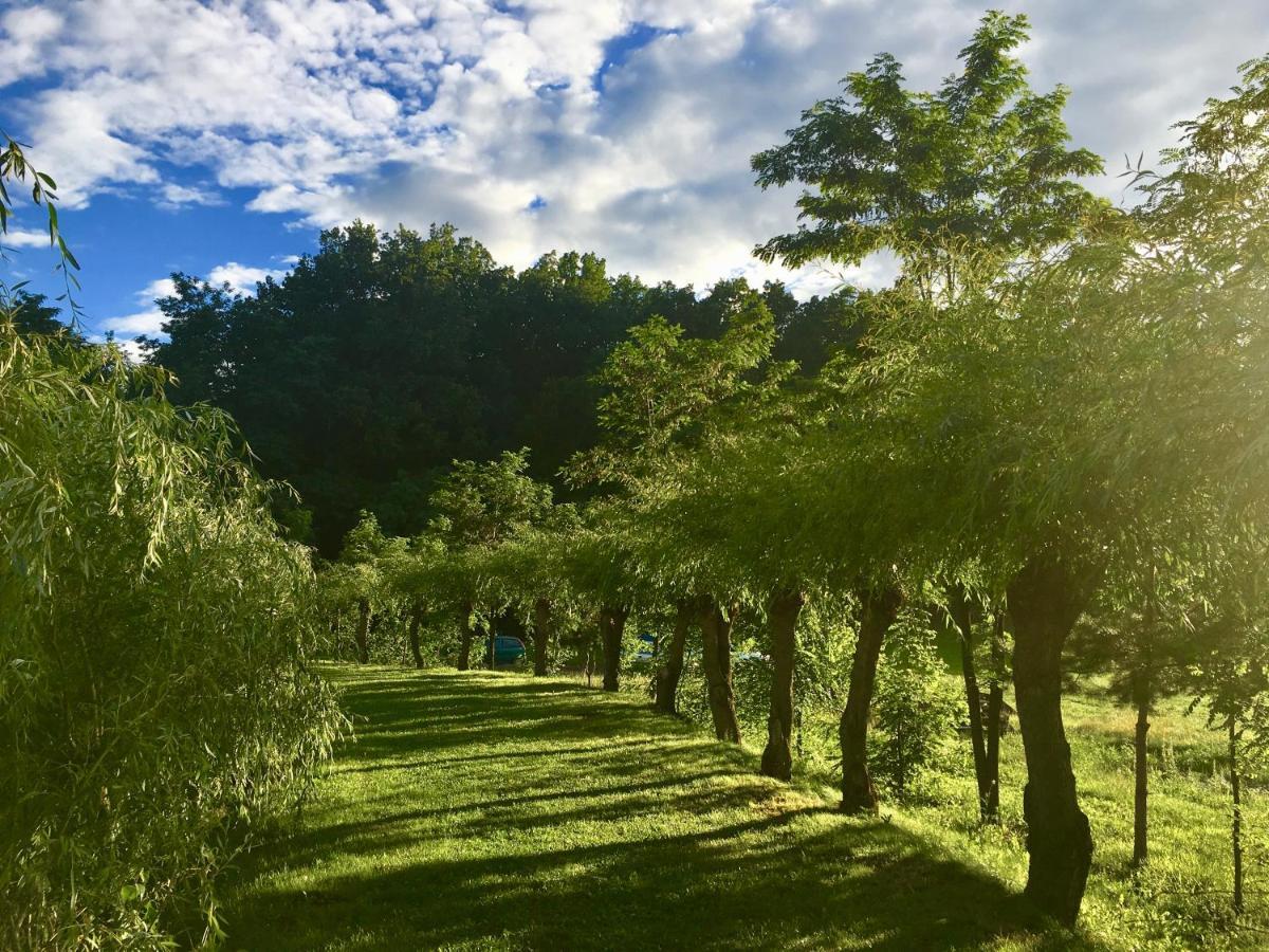 Pensiunea Paradisul Verde Oglinzi Extérieur photo