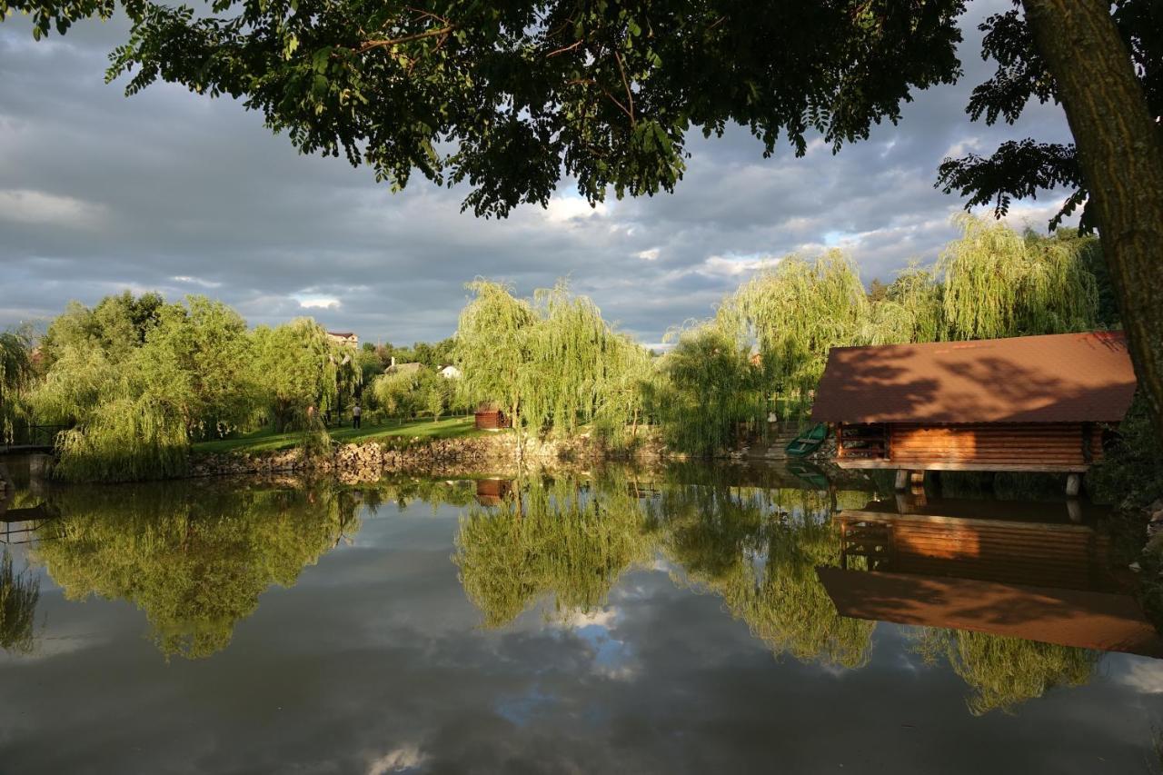 Pensiunea Paradisul Verde Oglinzi Extérieur photo